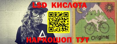 крисы Будённовск