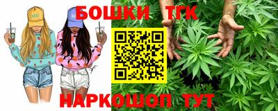крисы Будённовск