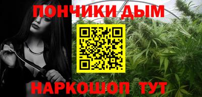 крисы Будённовск