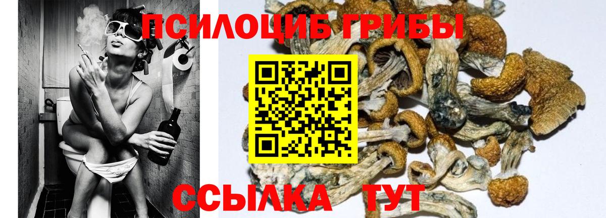 Похвистнево  Галлюциногенные грибы мухоморы  Вход с VPN 